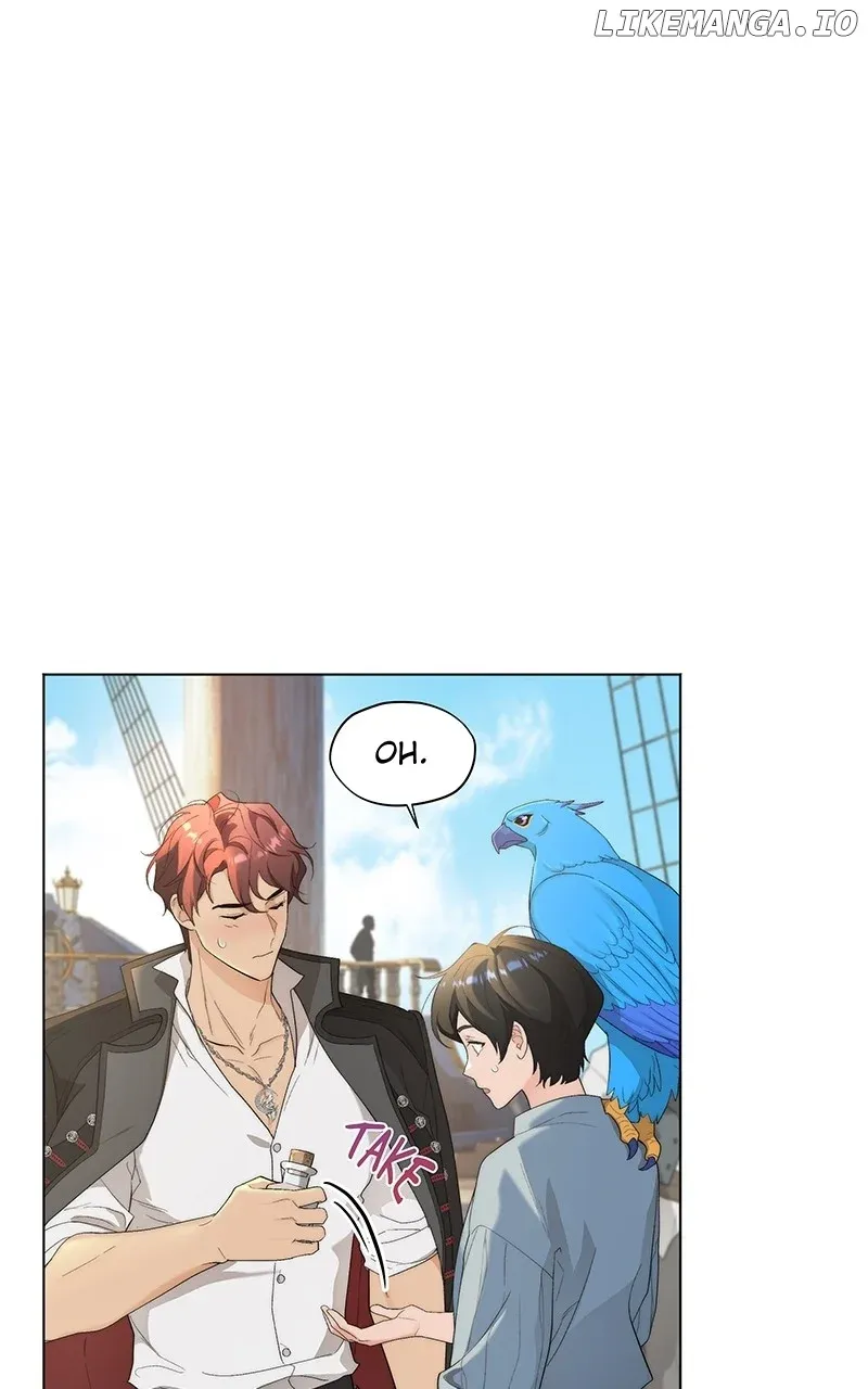 Seabird and the Wolf Zinmanga X Chapter 11 Page 7