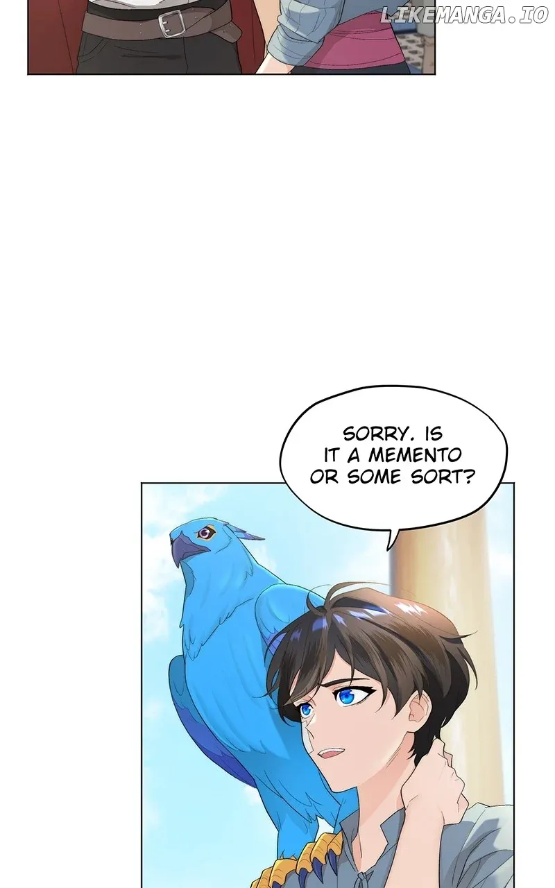 Seabird and the Wolf Zinmanga X Chapter 11 Page 8