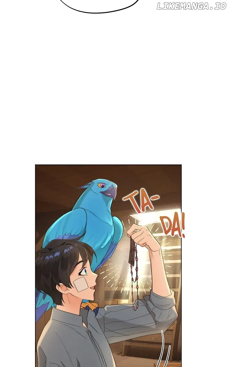 Seabird and the Wolf Zinmanga X Chapter 11 Page 19