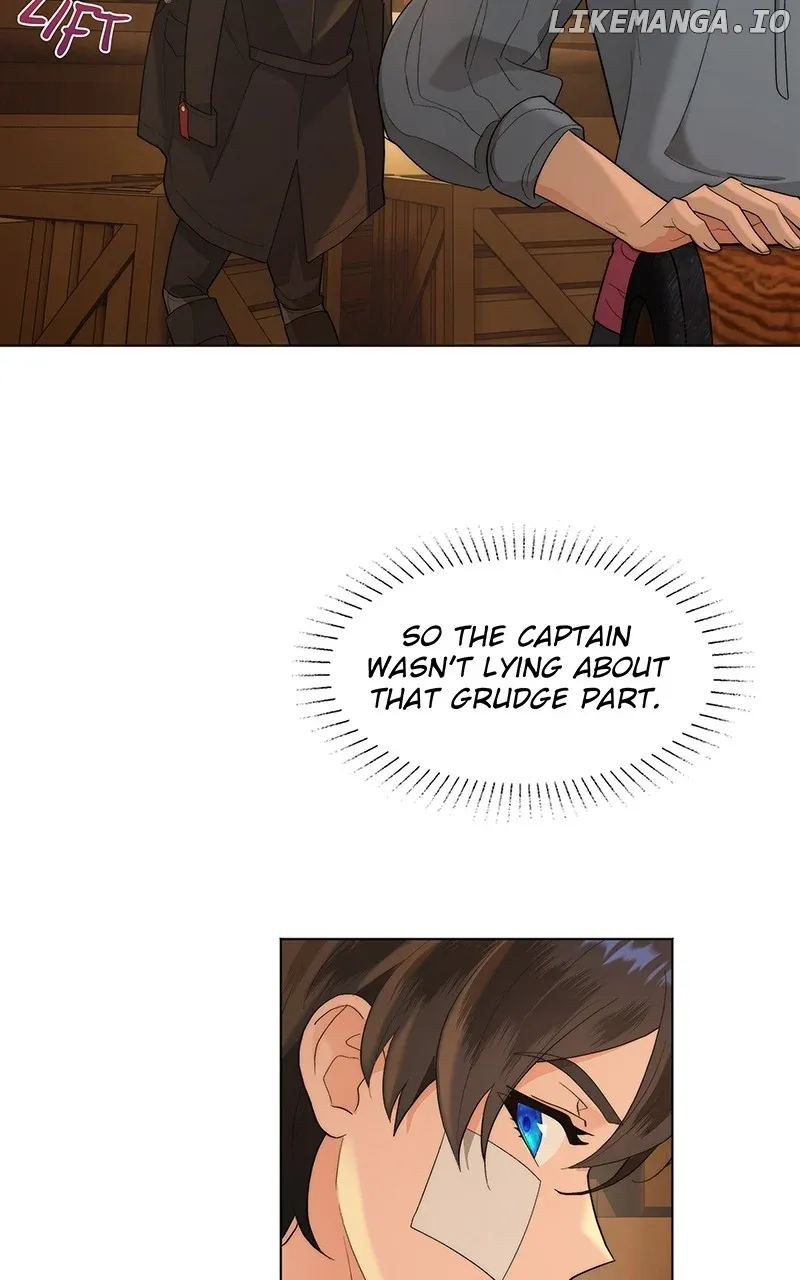 Seabird and the Wolf Zinmanga X Chapter 11 Page 27