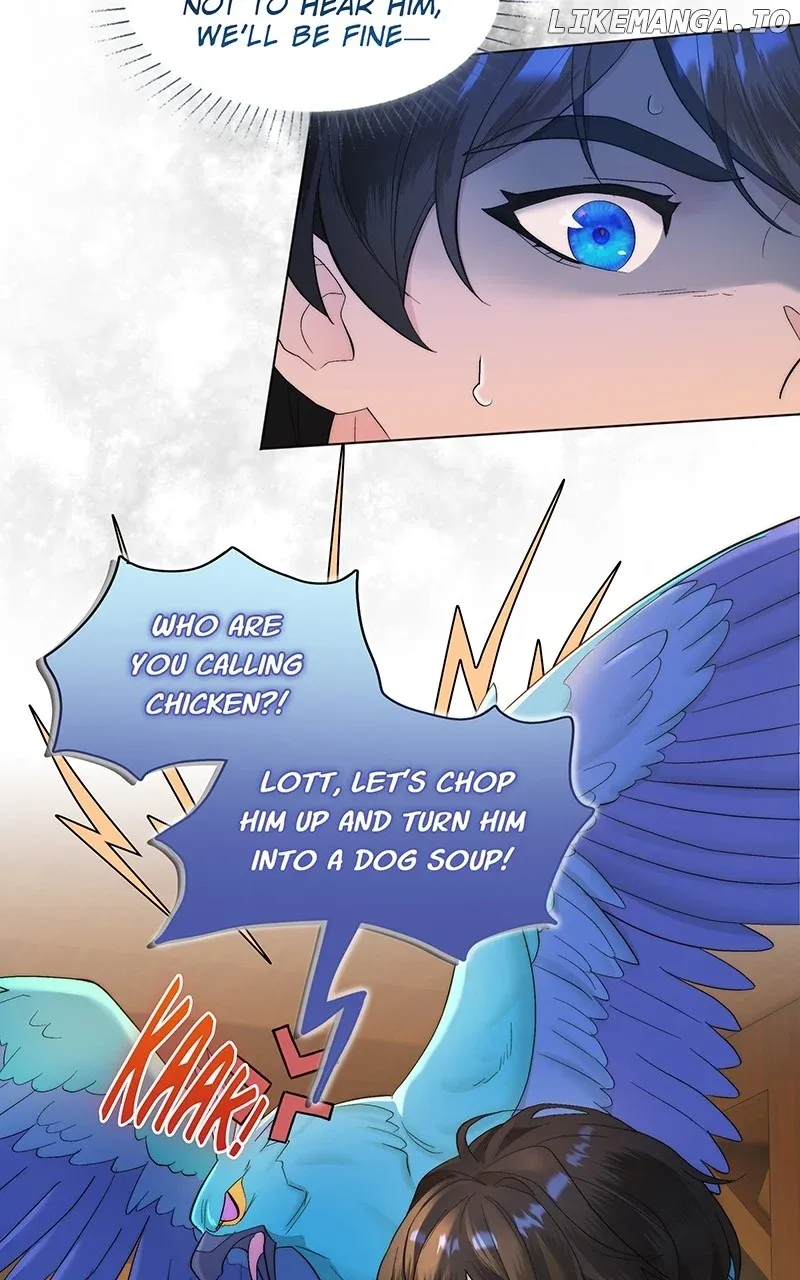 Seabird and the Wolf Zinmanga X Chapter 11 Page 35