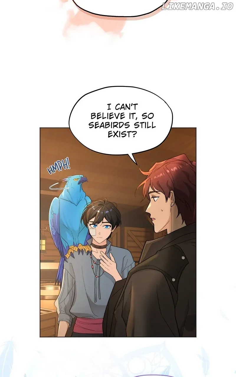 Seabird and the Wolf Zinmanga X Chapter 11 Page 39