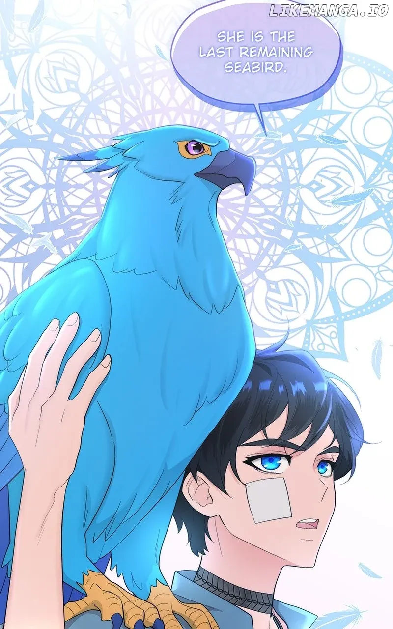 Seabird and the Wolf Zinmanga X Chapter 11 Page 40