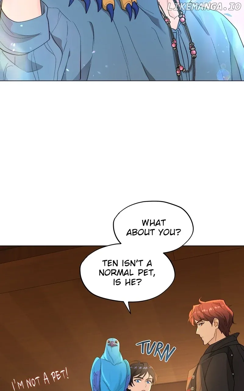 Seabird and the Wolf Zinmanga X Chapter 11 Page 41