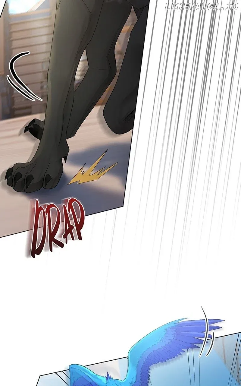 Seabird and the Wolf Zinmanga X Chapter 10 Page 77