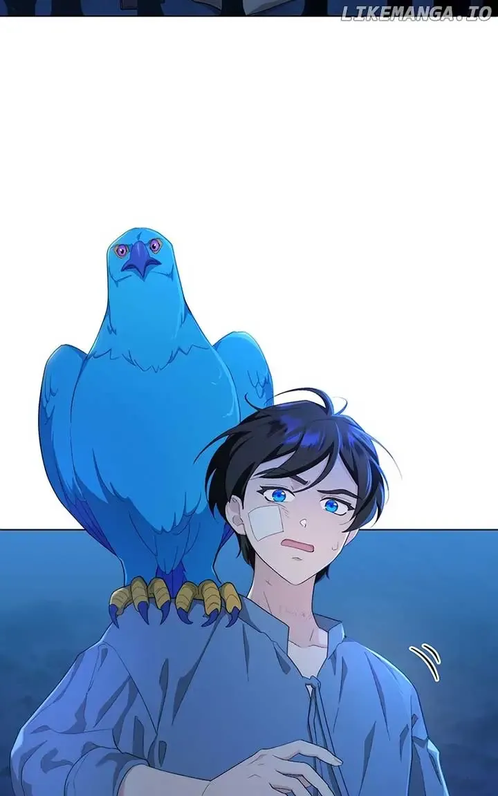 Seabird and the Wolf Zinmanga X Chapter 7 Page 62