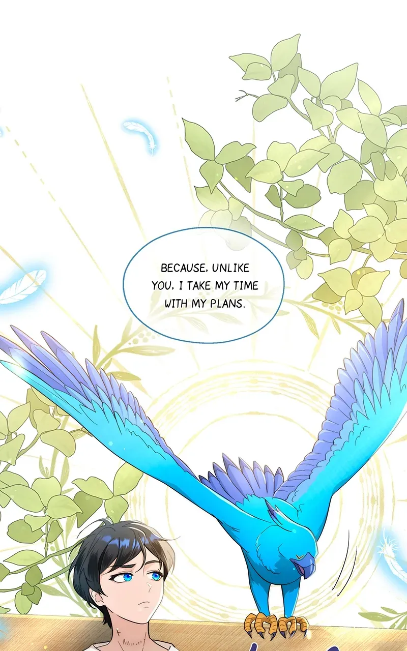 Seabird and the Wolf Zinmanga X Chapter 5 Page 12