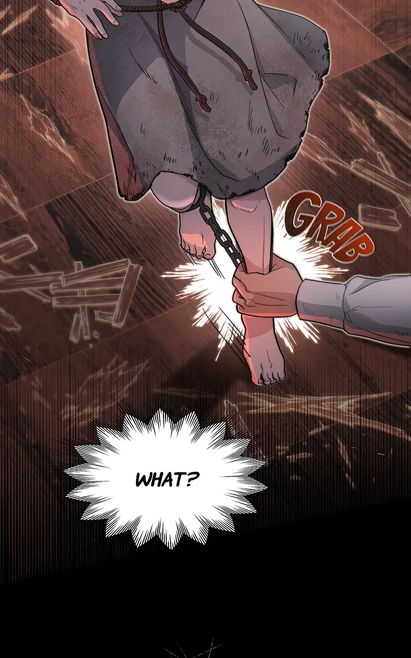 Seabird and the Wolf Zinmanga X Chapter 3 Page 39