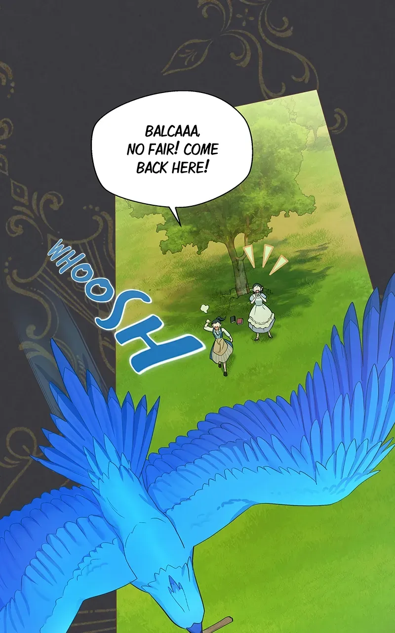 Seabird and the Wolf Zinmanga X Chapter 2 Page 38