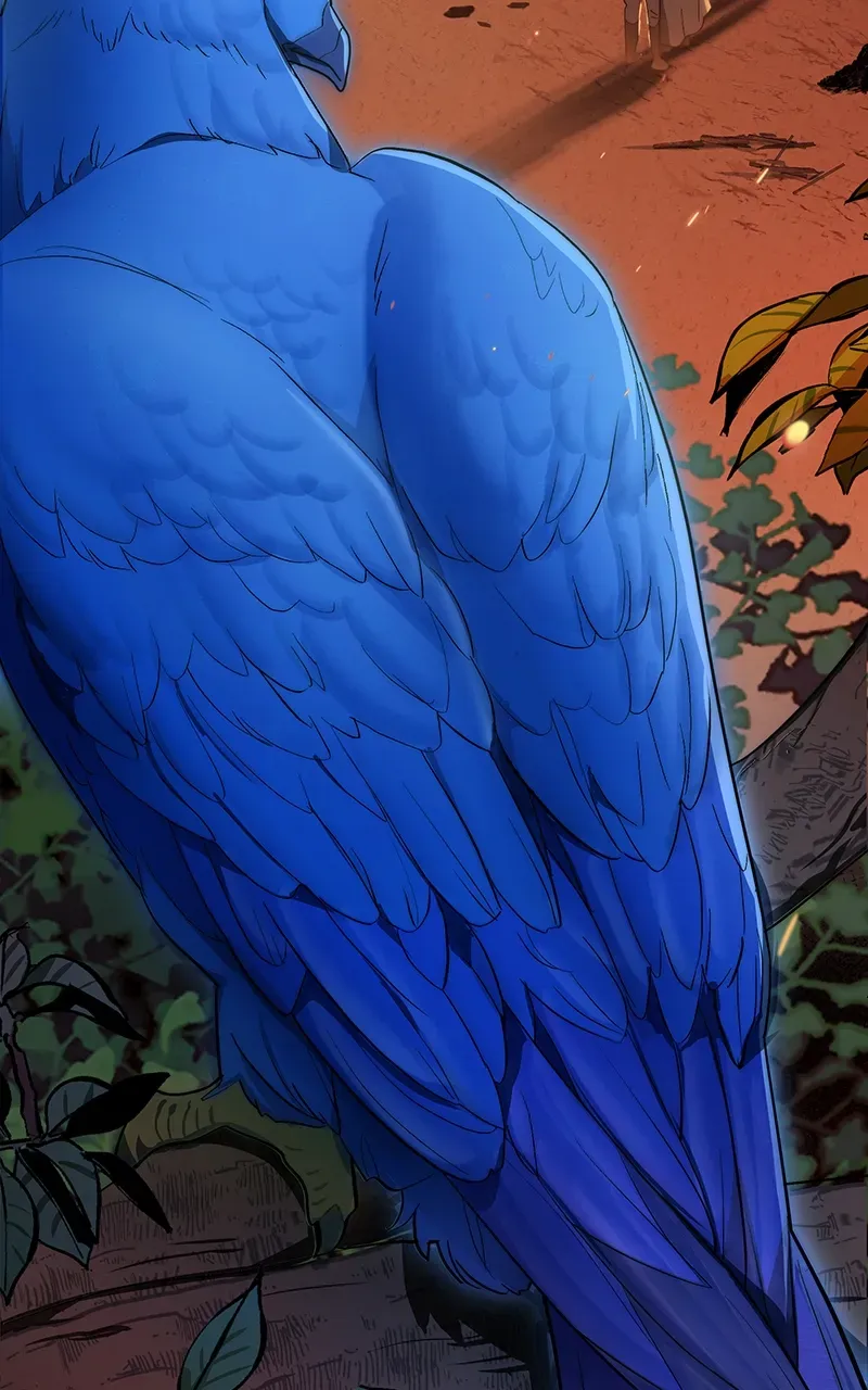 Seabird and the Wolf Zinmanga X Chapter 1 Page 81