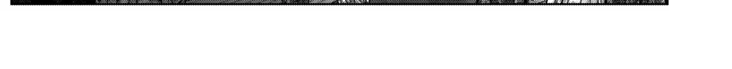 Gantz:E Zinmanga X Chapter 21 Page 11