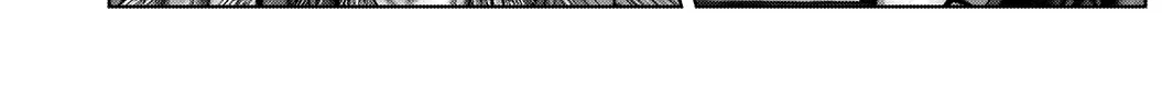 Gantz:E Zinmanga X Chapter 15 Page 3