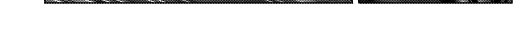 Gantz:E Zinmanga X Chapter 12 Page 33