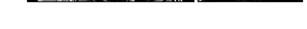 Gantz:E Zinmanga X Chapter 8 Page 20