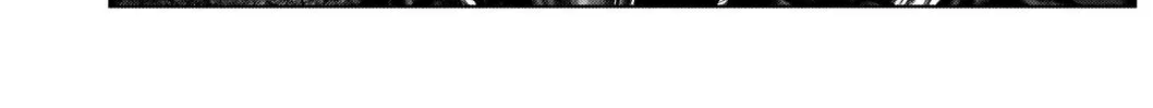 Gantz:E Zinmanga X Chapter 5 Page 9