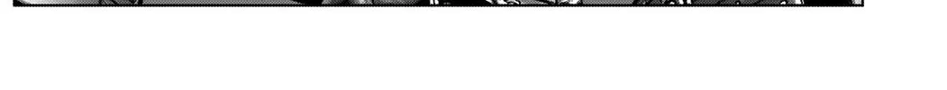 Gantz:E Zinmanga X Chapter 5 Page 25