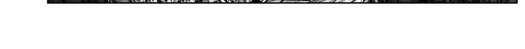 Gantz:E Zinmanga X Chapter 5 Page 27