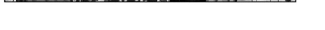 Gantz:E Zinmanga X Chapter 4 Page 18