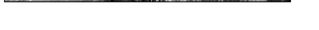 Gantz:E Zinmanga X Chapter 4 Page 22